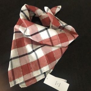Ann Taylor Scarf